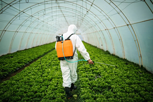 Best Pest Control Treatment  in Manheim, PA