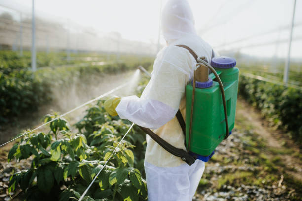Best Pest Prevention Services  in Manheim, PA